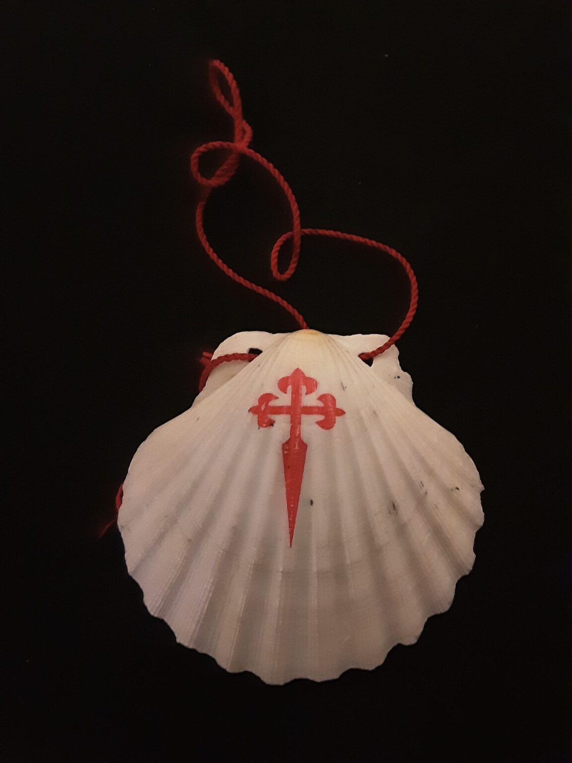 la-coquille-les-amis-de-saint-jacques-du-velay